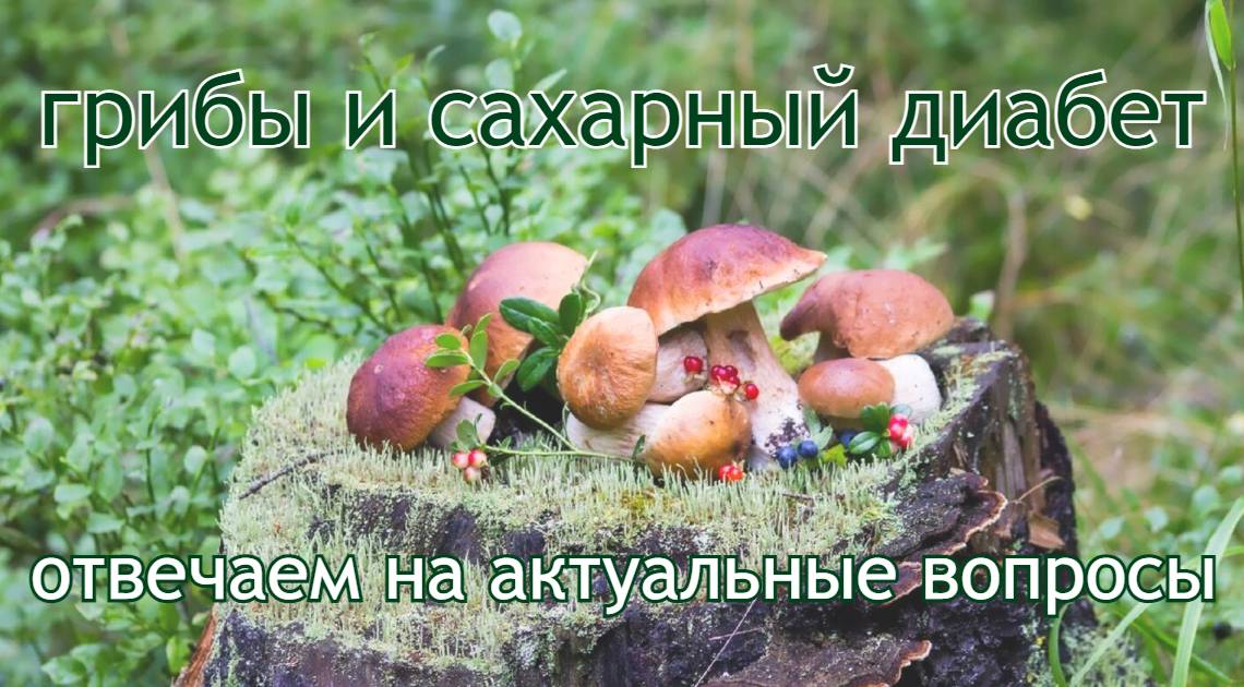 Грибы и сахарный диабет